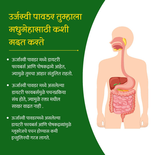 Urjasvi Diabetic Care Powder