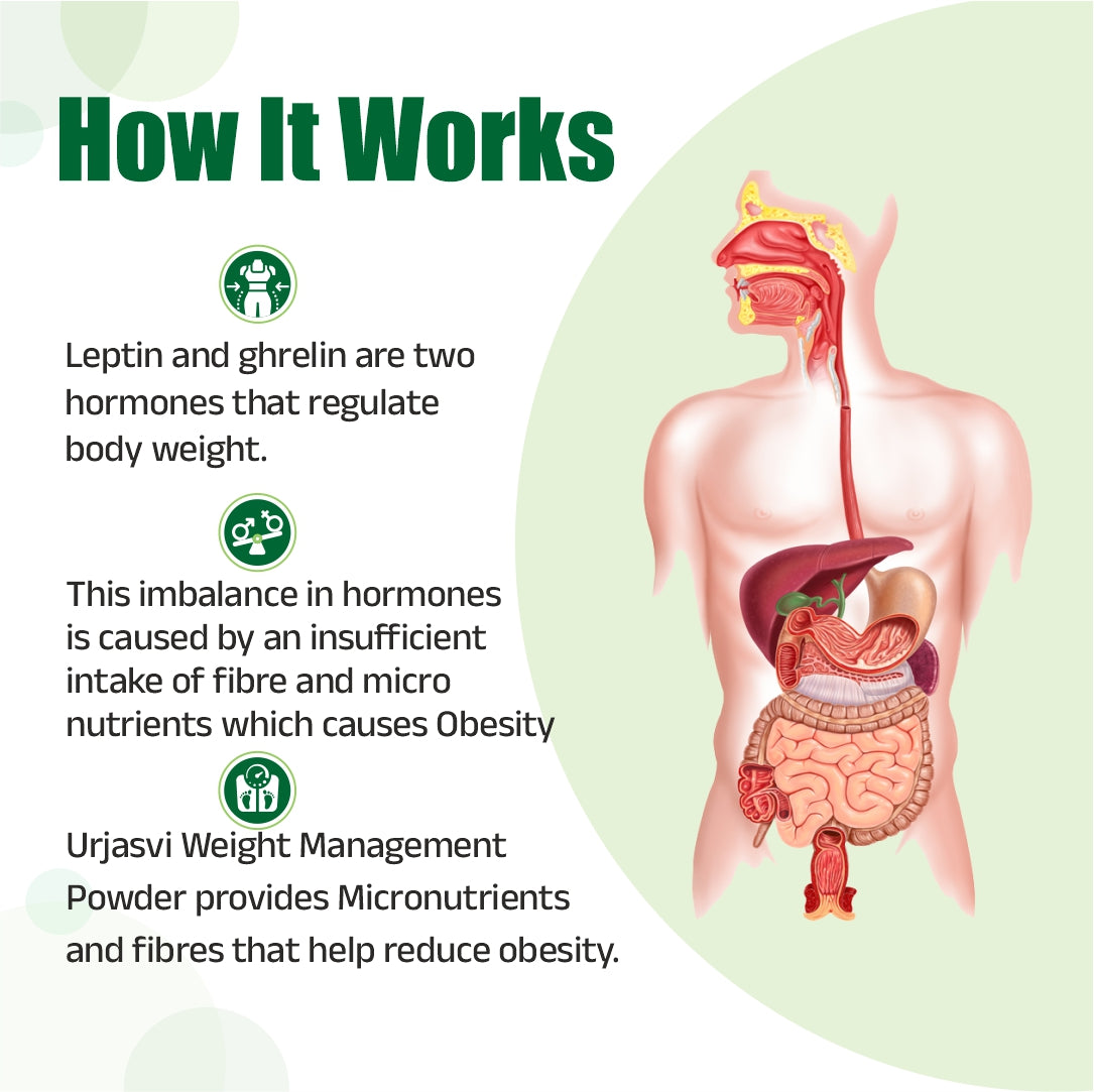 Urjasvi Weight Management Powder