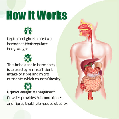 Urjasvi Weight Management Powder